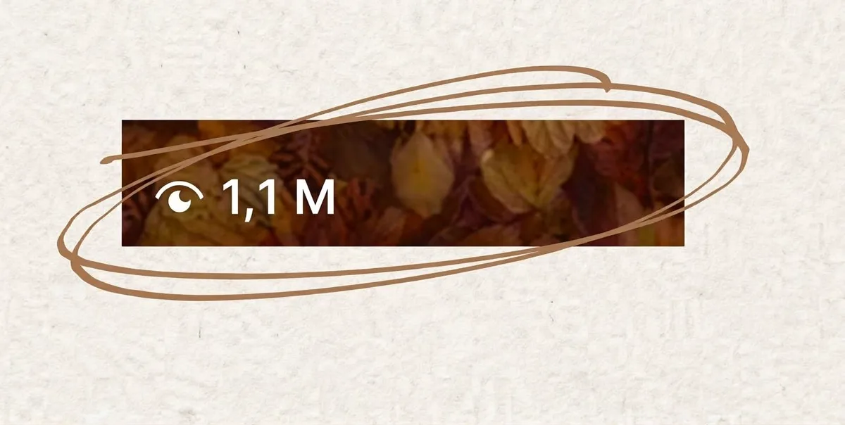 Vignette d'un reel Instagram à 1,1 M de vues, entourée à la main.